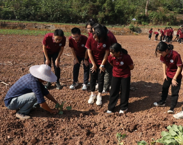 统筹生产实践自愿服务聚集工作体会项目化生产学段层层递进